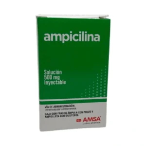 AMPICILINA AMSA Sol. Iny. 500 mg/2ml C/1